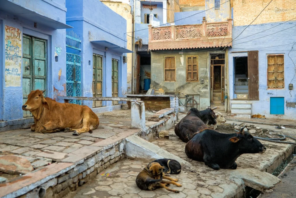 Inde