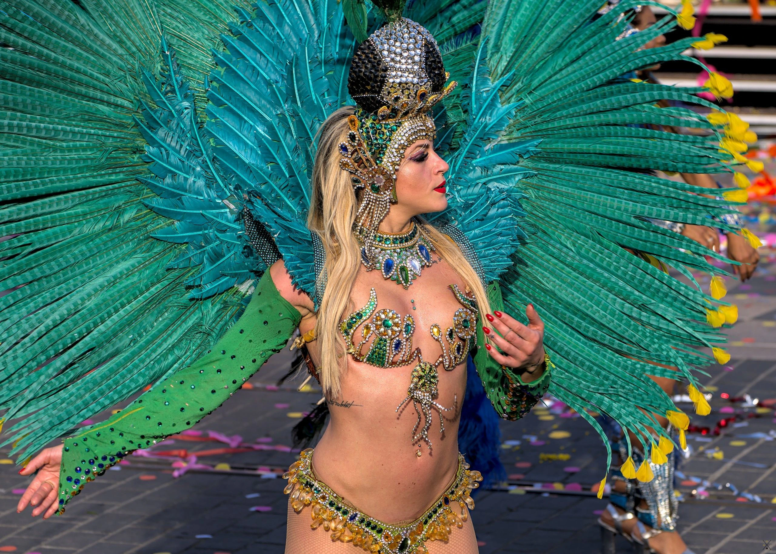 Carnaval de Nice, février 2020