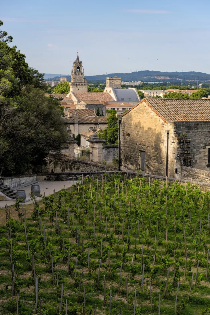 Avignon