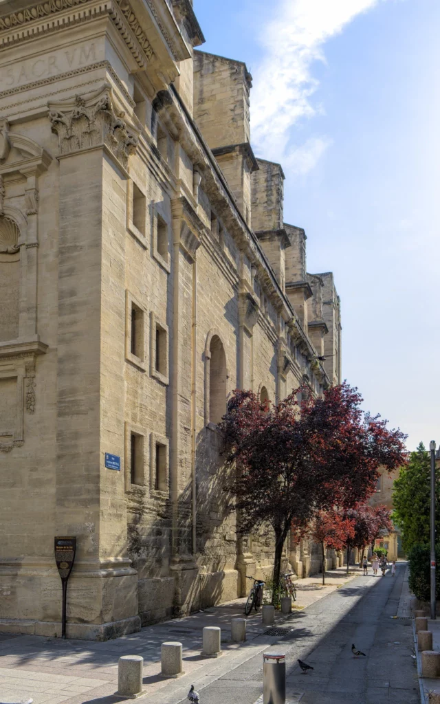 Avignon