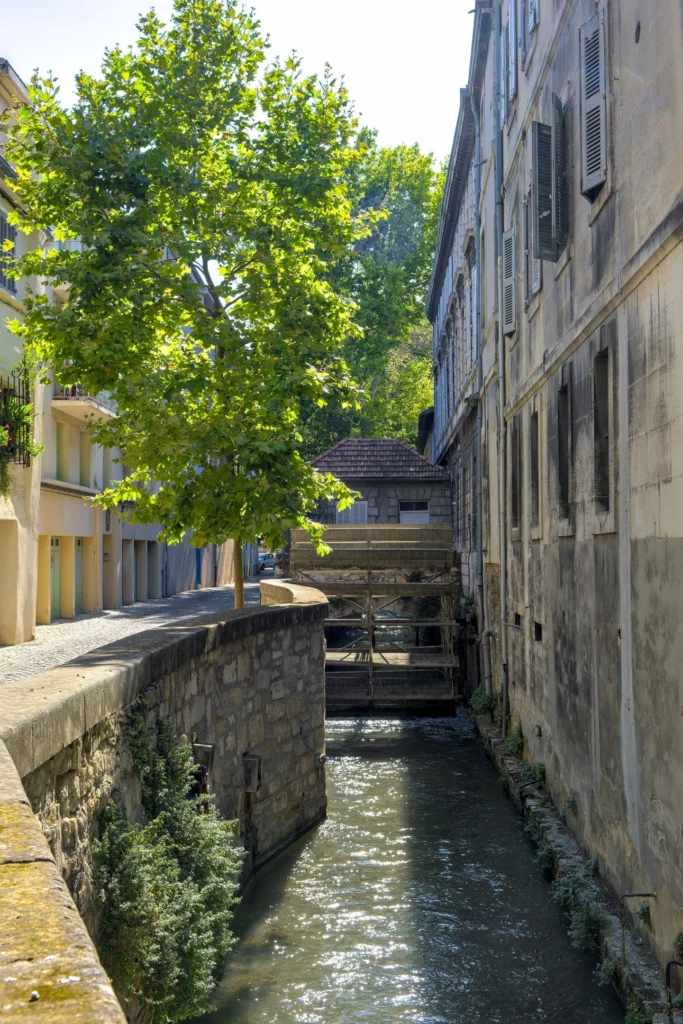 Avignon