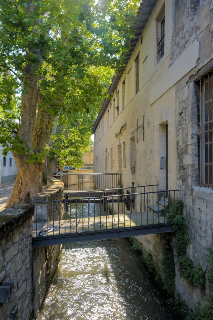 Avignon