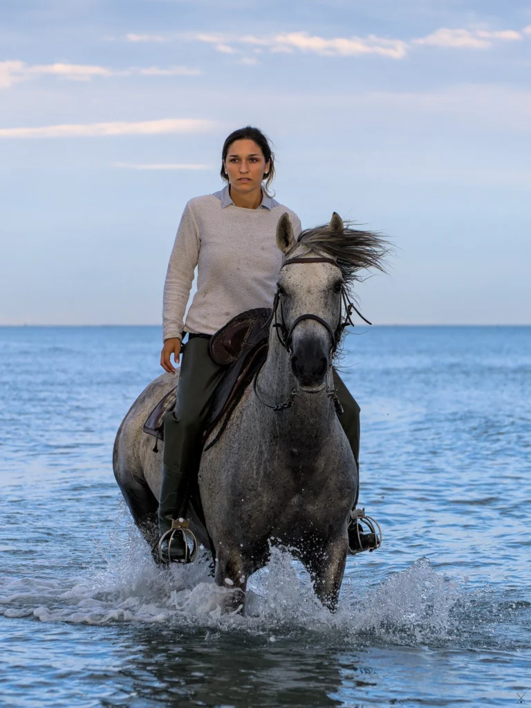 Chevaux de Camargue