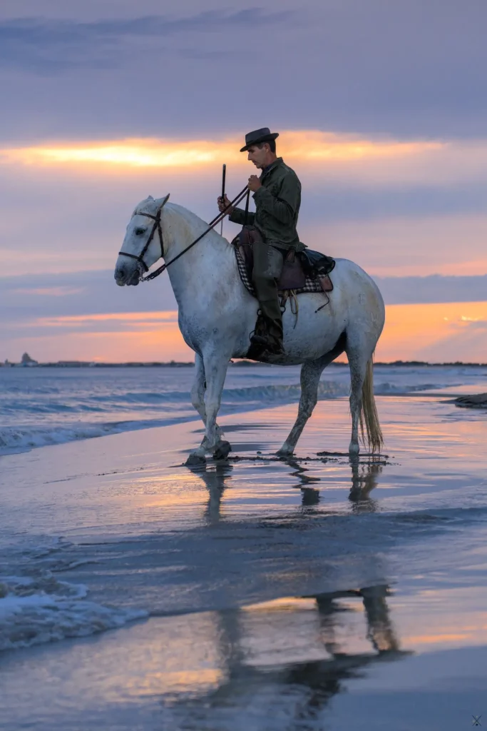 Camargue