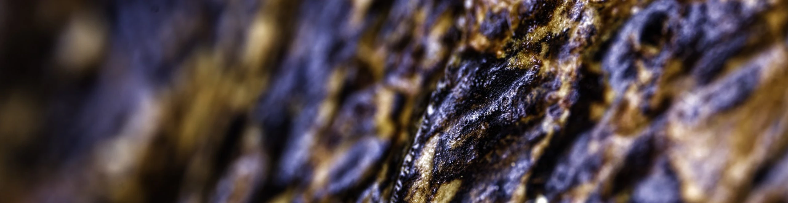 Objectif Laowa 65mm macro