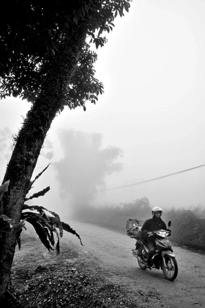 Vietnam