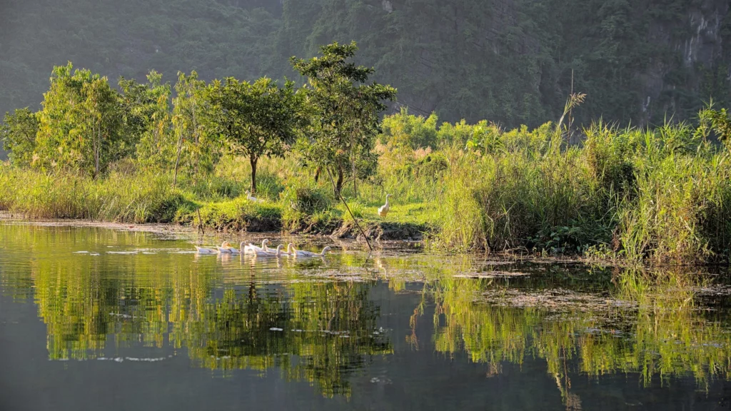Vietnam