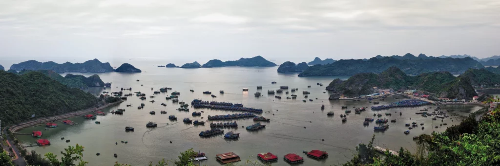 Vietnam