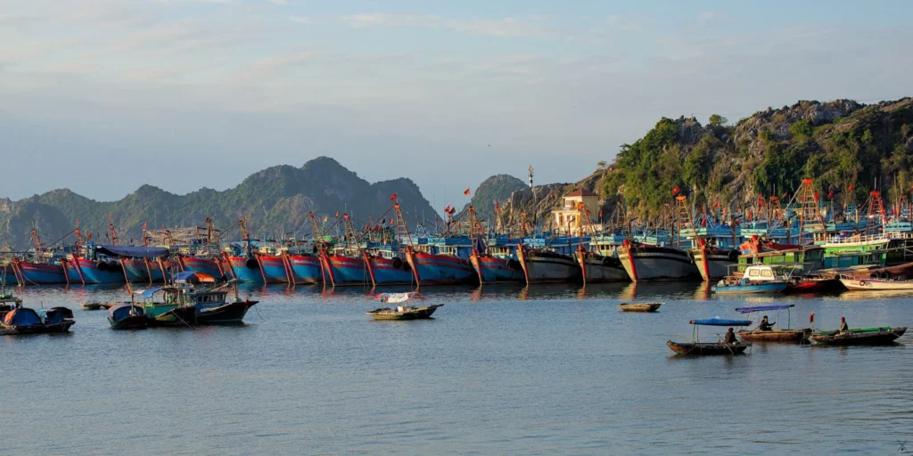 Vietnam