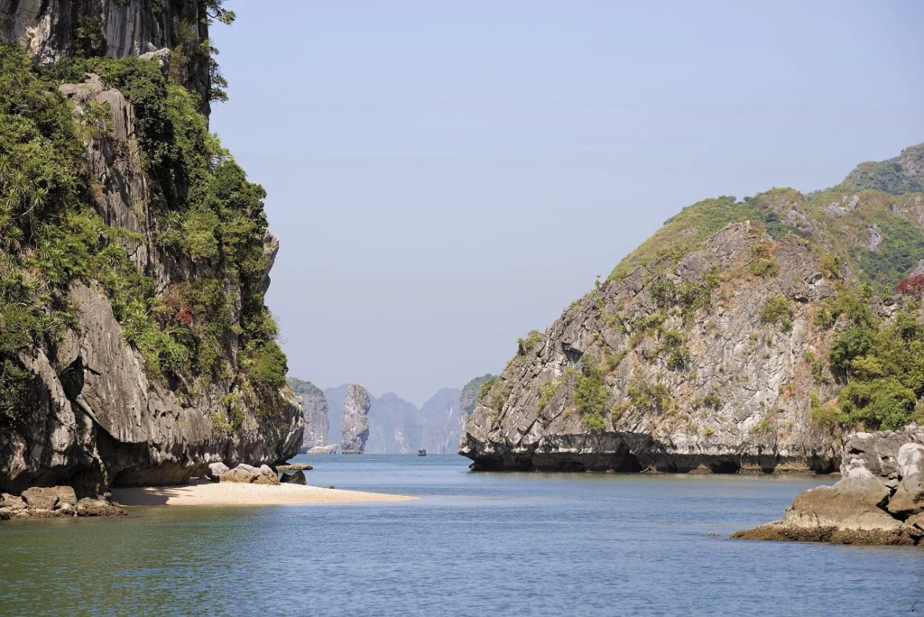 Vietnam