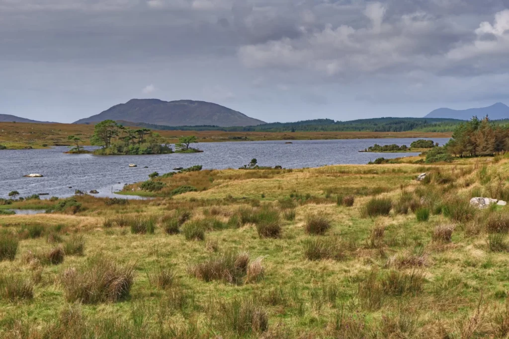Irlande