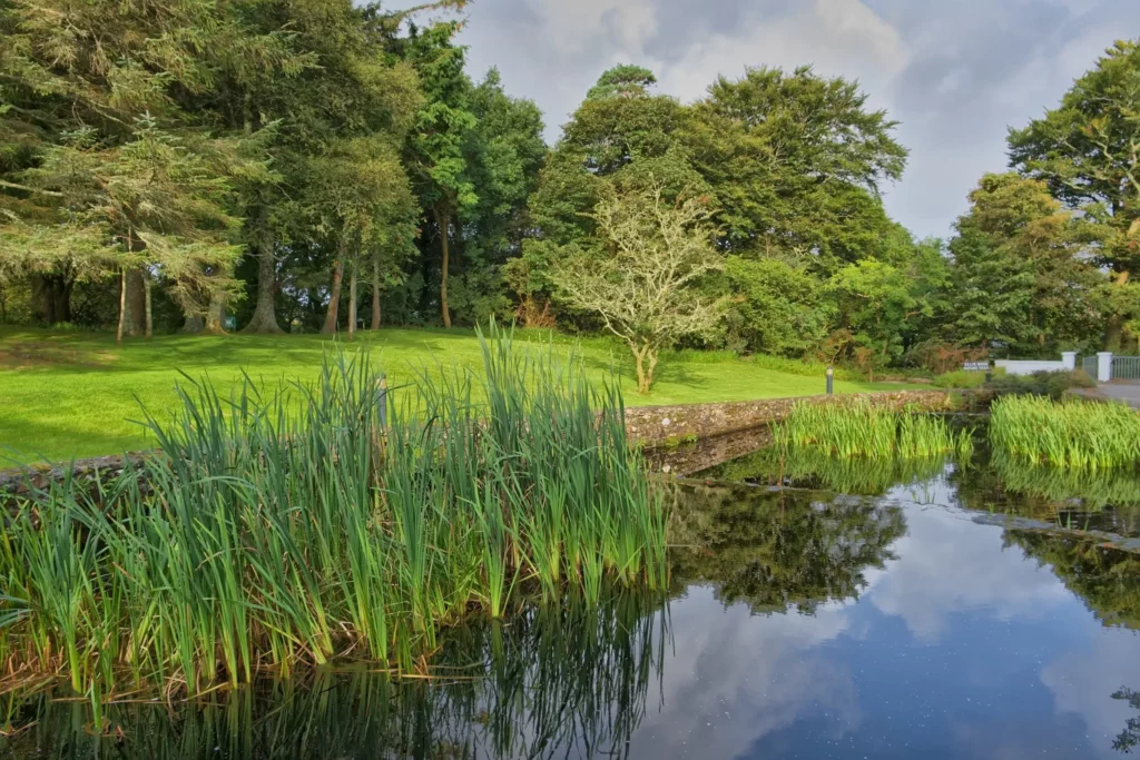 Irlande