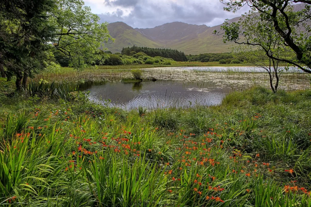 Irlande