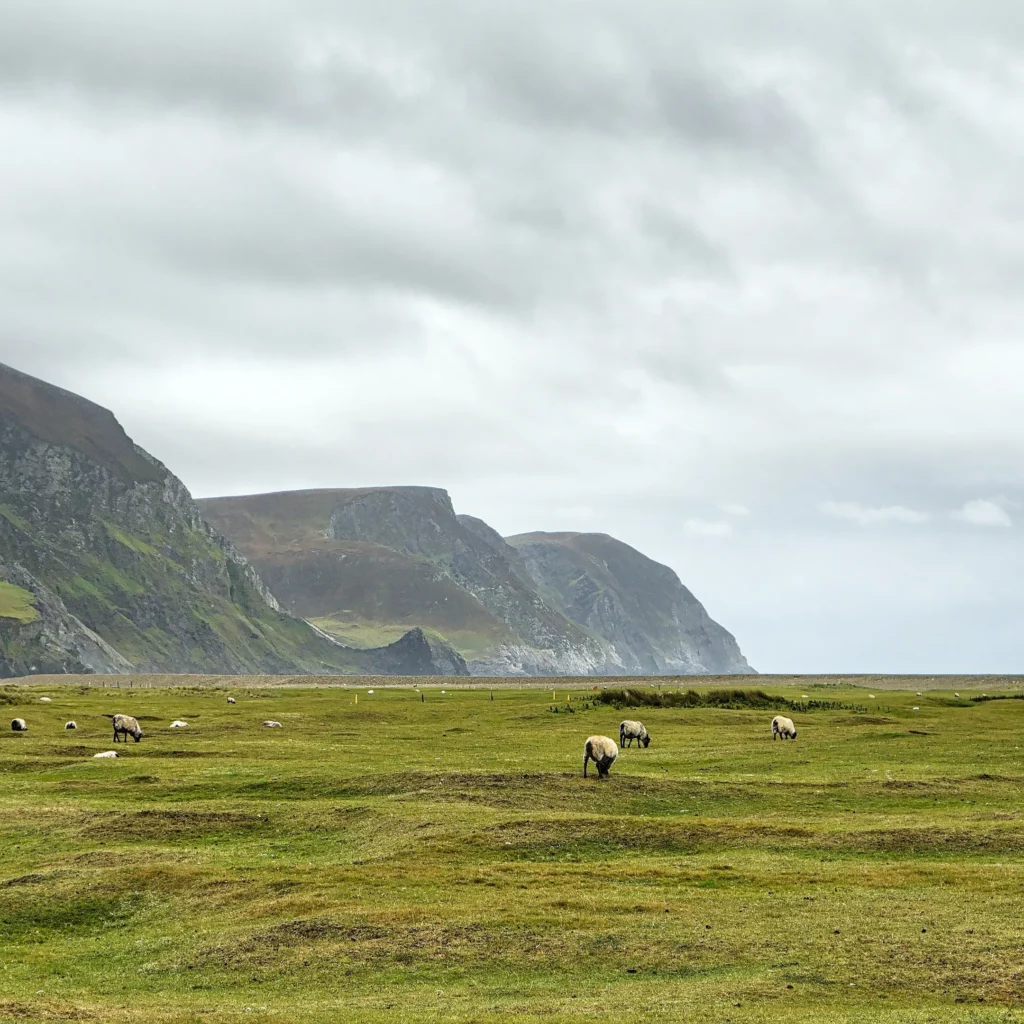Irlande