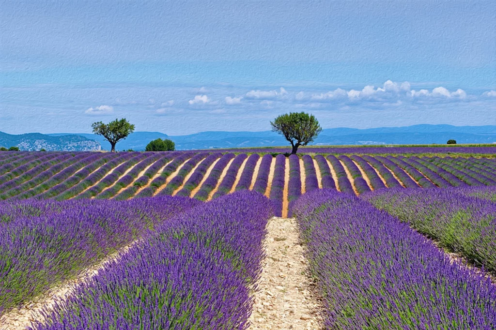 Provence