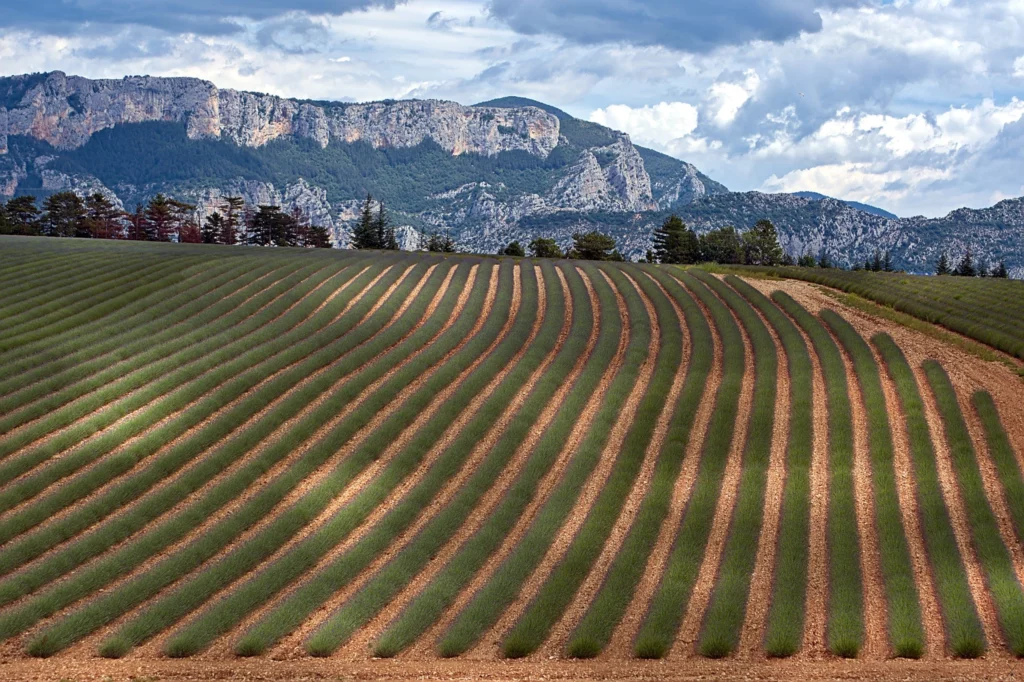 Provence