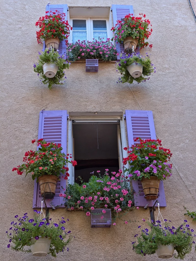 Provence