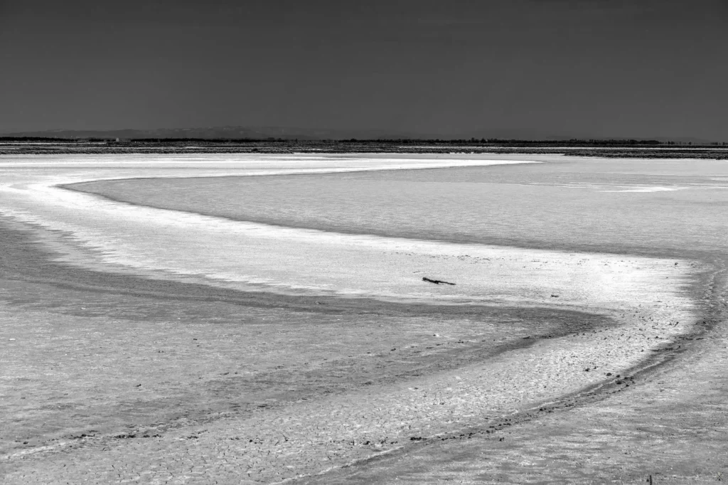 Camargue