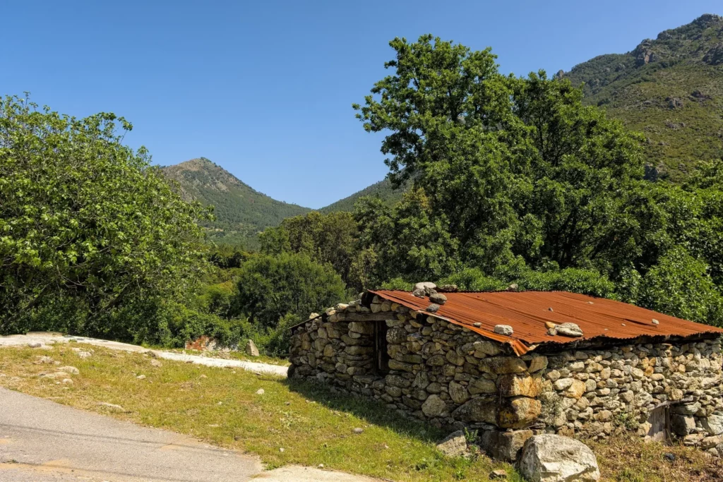 Corse