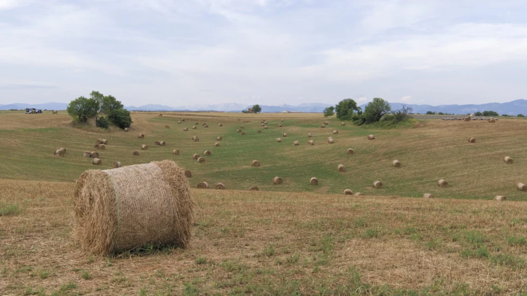 Provence