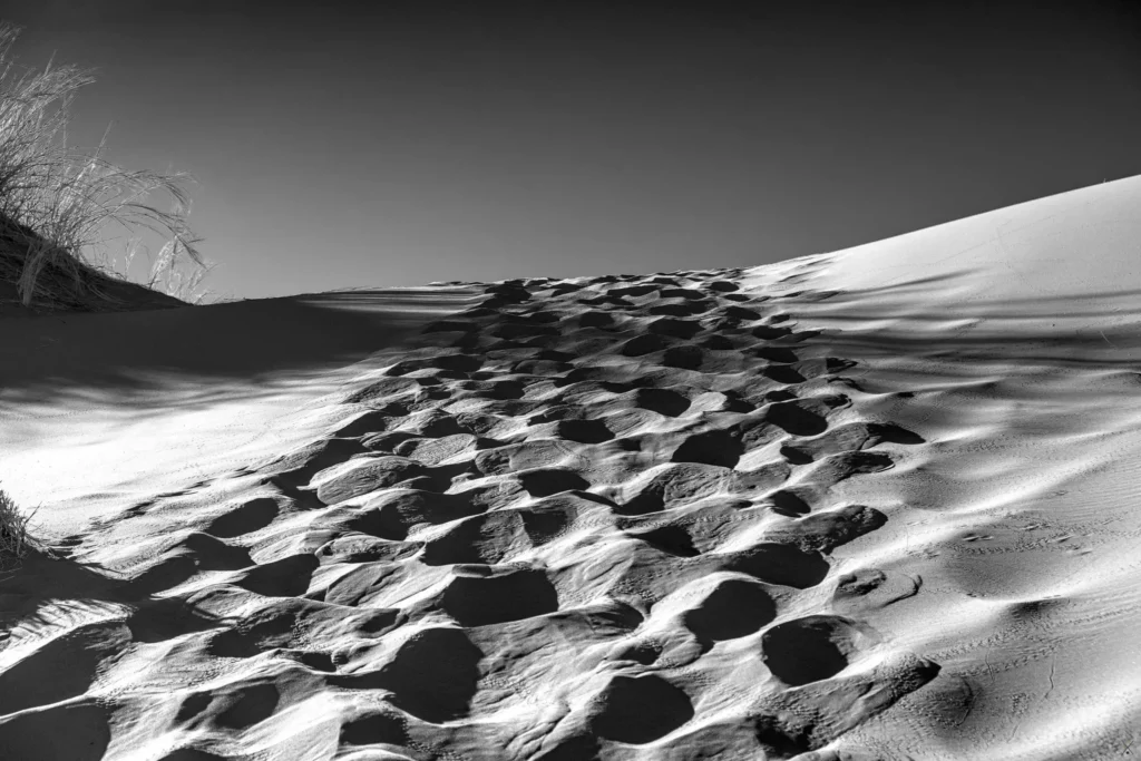 Paysages