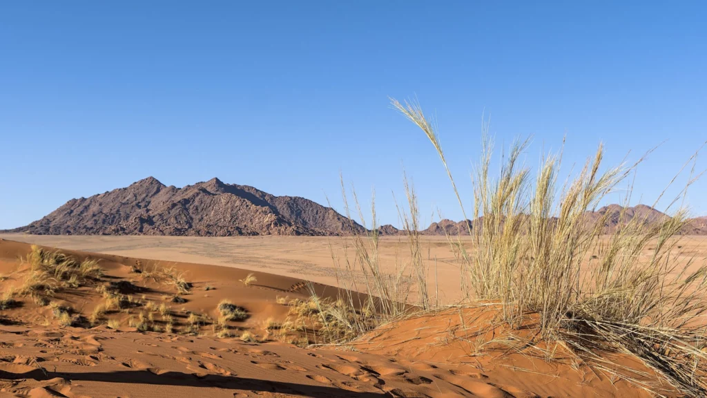 Paysages