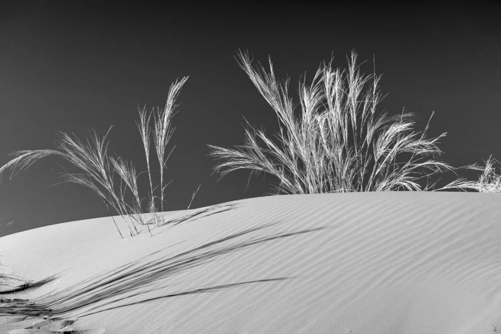 Paysages