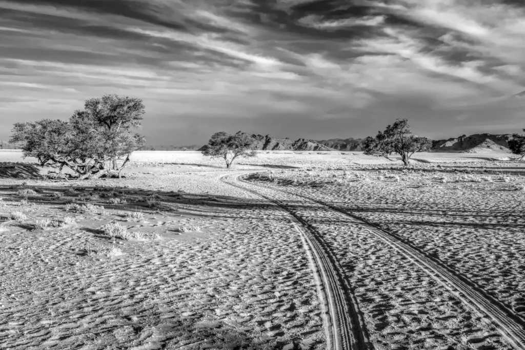 Paysages