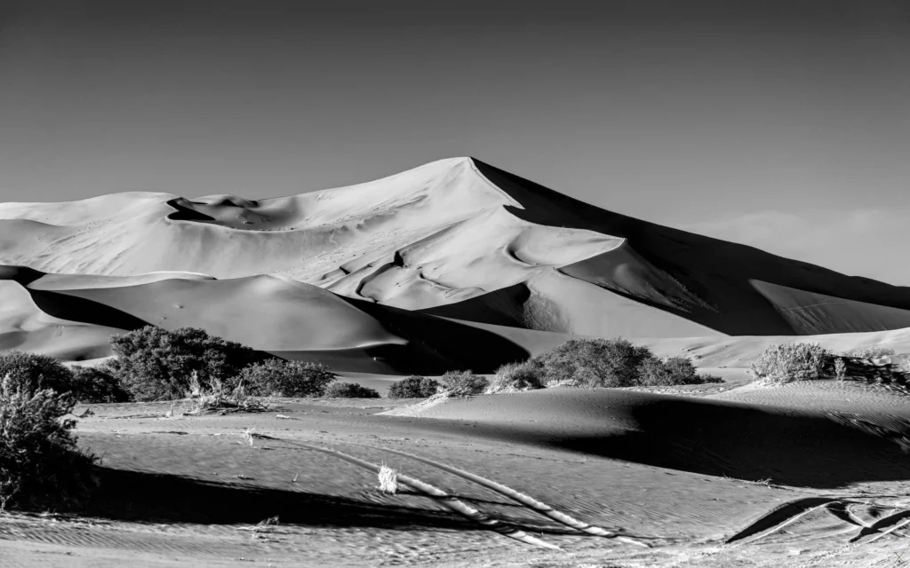 Paysages