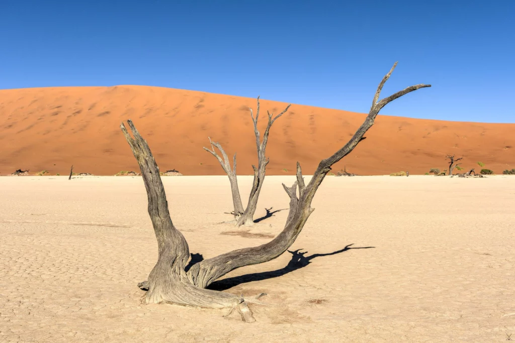 Paysages