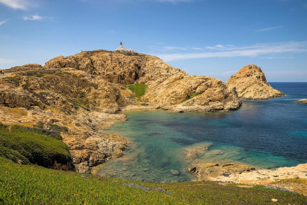 Corse