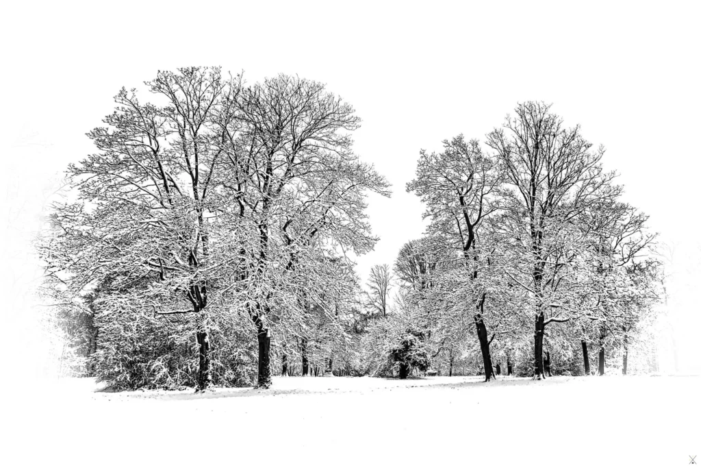Noir et blanc