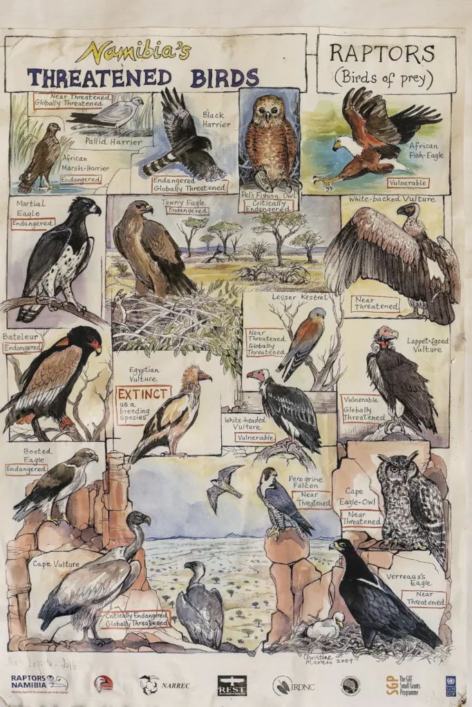 Les oiseaux de Namibie
