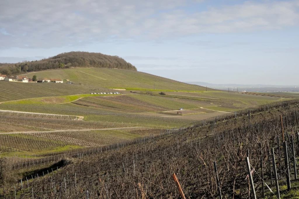 Balade en Champagne, février 2021