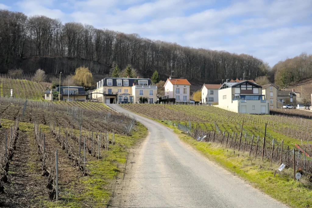 Balade en Champagne, février 2021