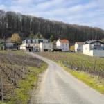 Balade en Champagne, février 2021