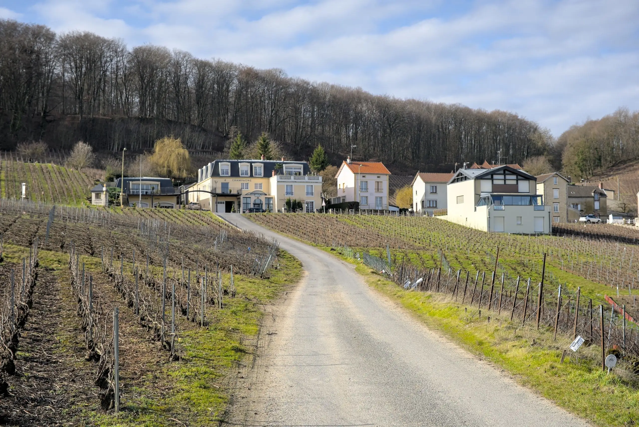 Balade en Champagne, février 2021