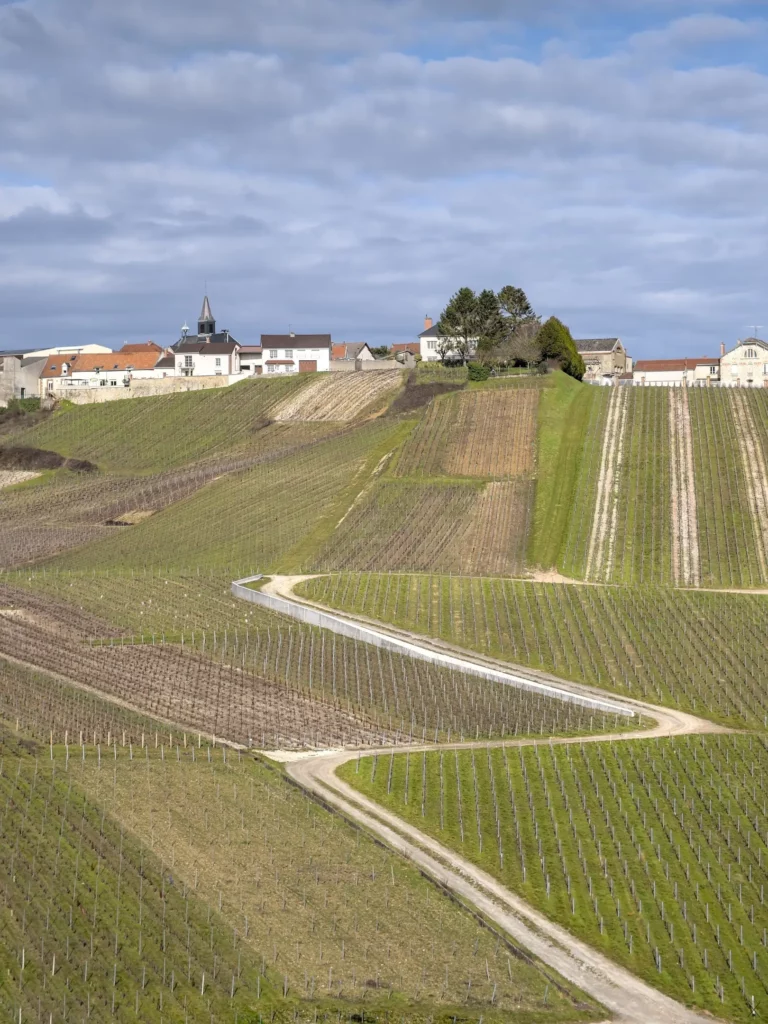 Balade en Champagne, février 2021