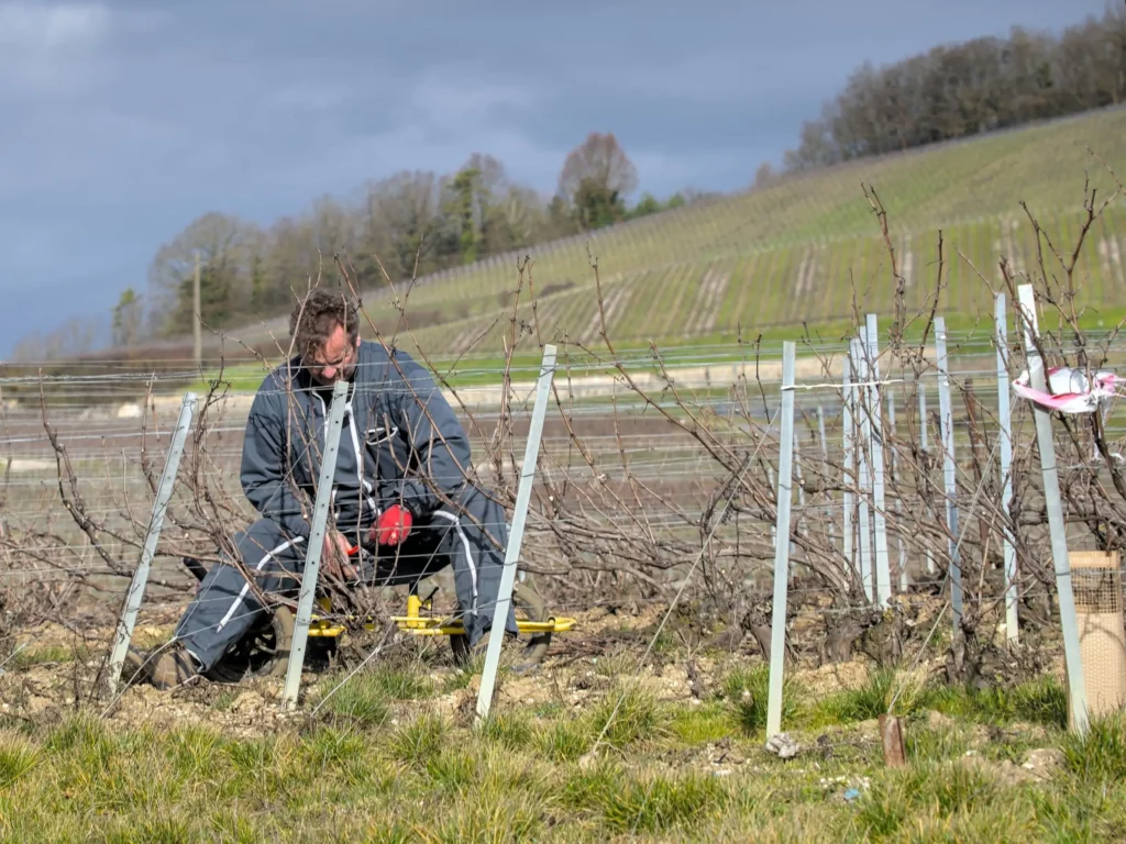 Balade en Champagne, février 2021