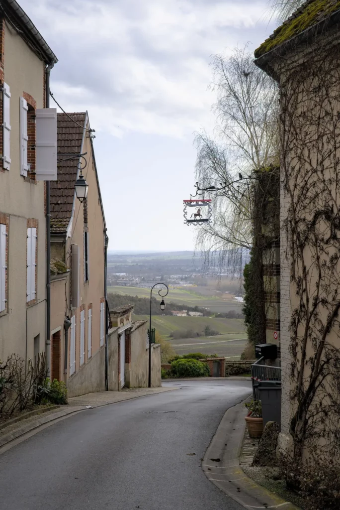 Balade en Champagne, février 2021