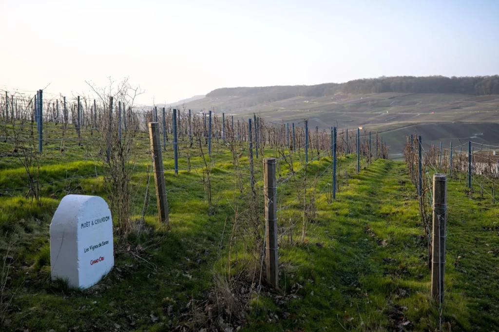 Balade en Champagne, février 2021
