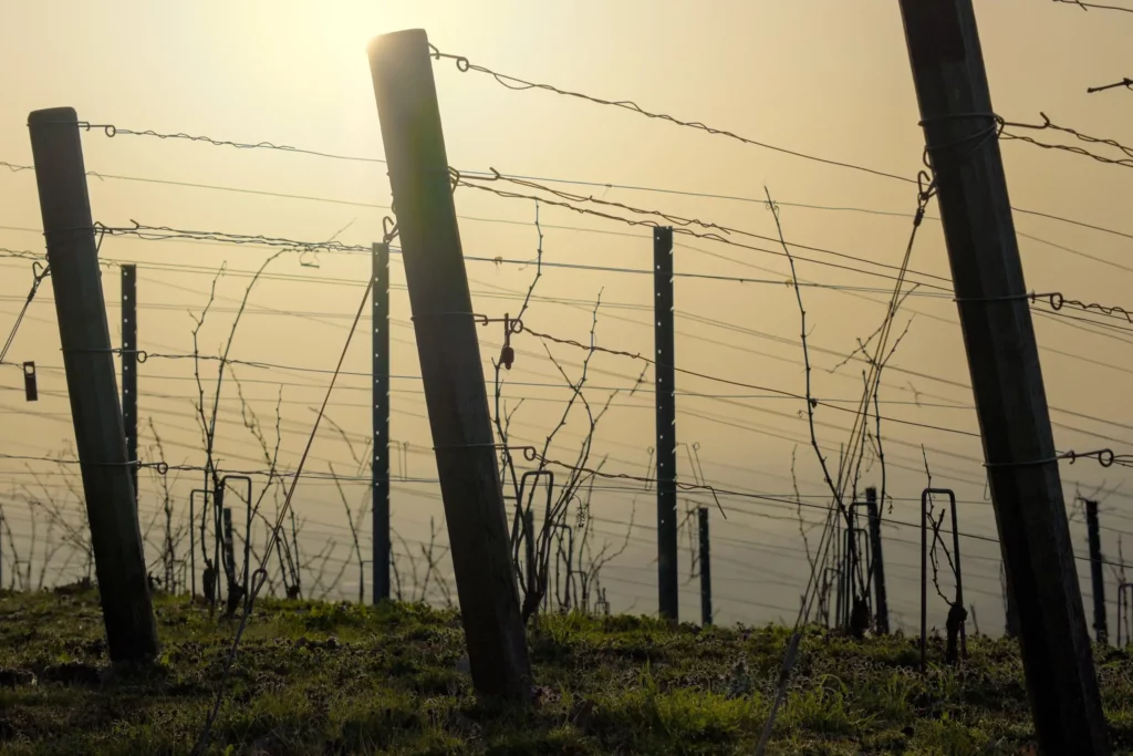 Balade en Champagne, février 2021