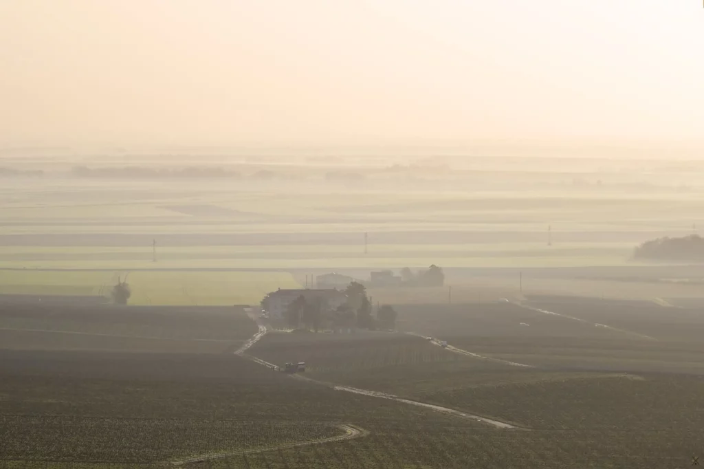 Balade en Champagne, février 2021
