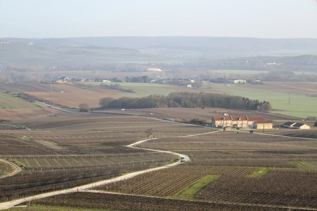 Balade en Champagne, février 2021