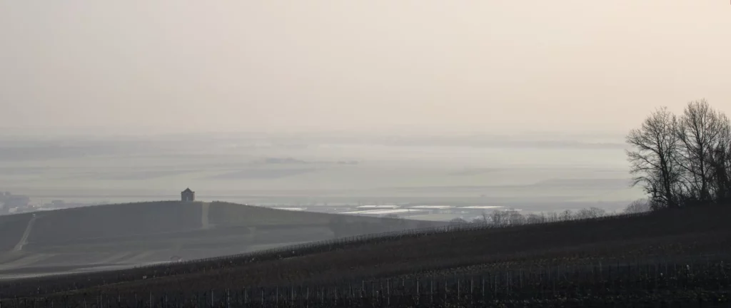Balade en Champagne, février 2021