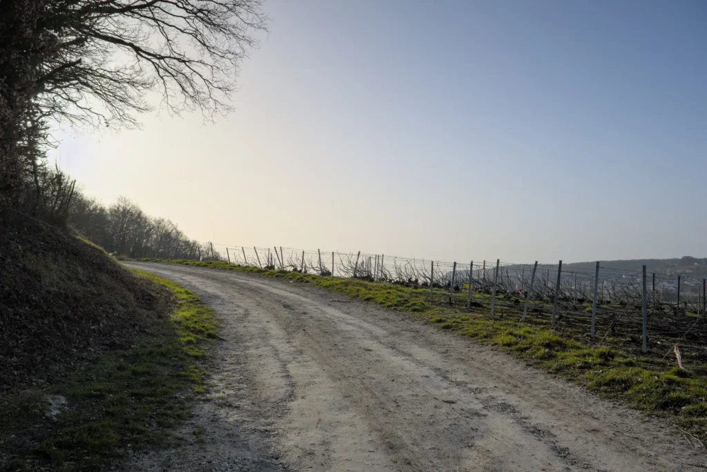 Balade en Champagne, février 2021