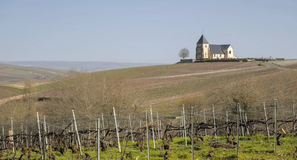 Balade en Champagne, février 2021