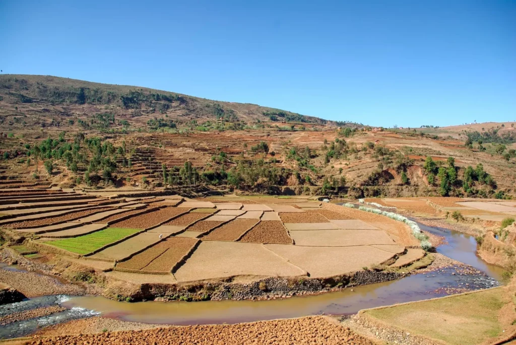 Madagascar