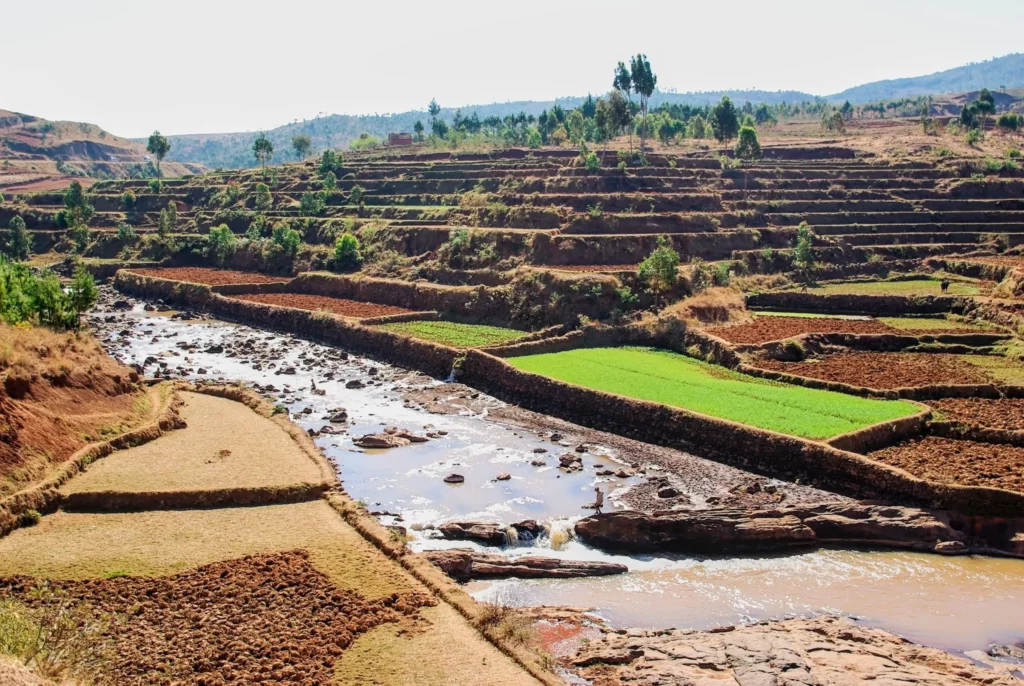 Madagascar