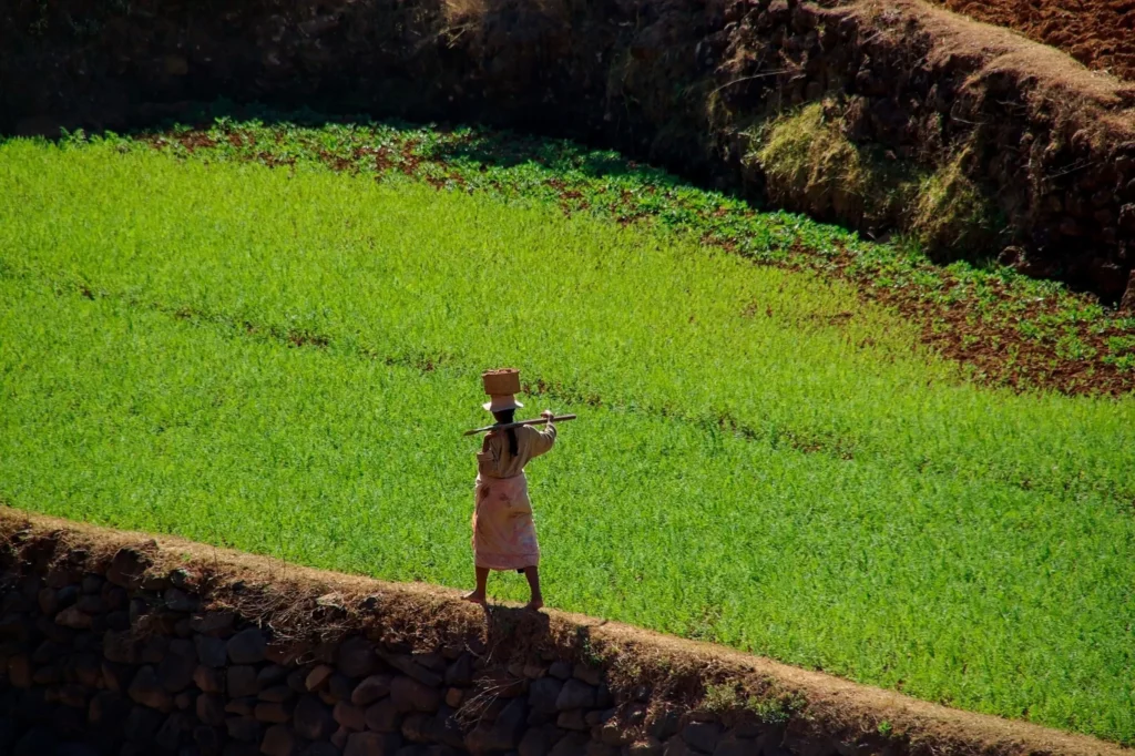 Madagascar